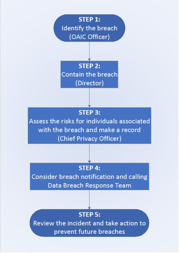 Data breach response steps