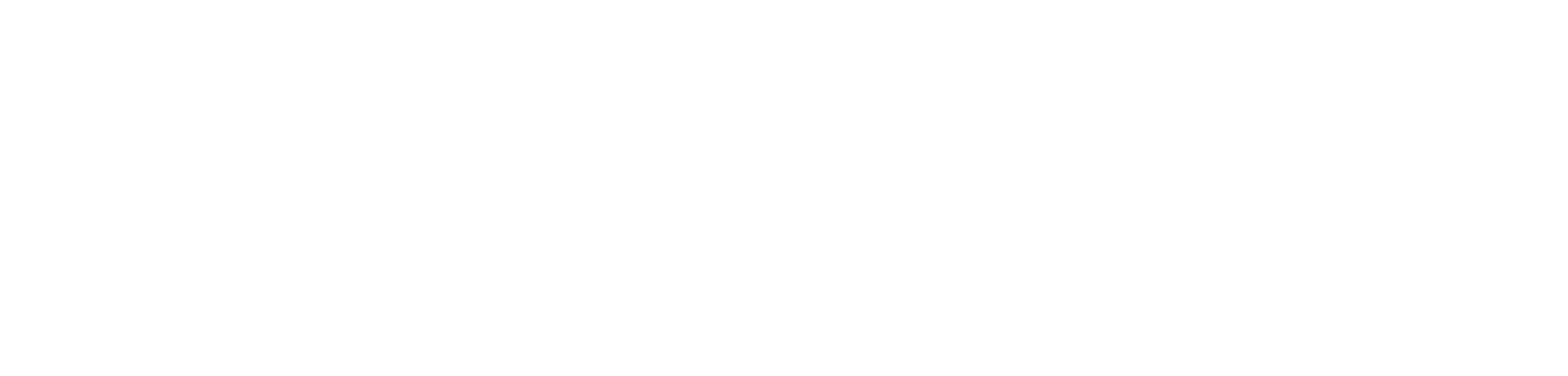 Precision-IT-Logo-White-2_1.png