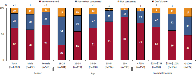 Bar graph showing levels of concern, broken down by gender, age and household income. Link to long text description follows image.