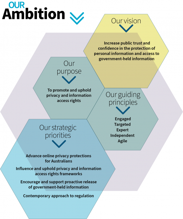 OAIC ambition graphic 2020